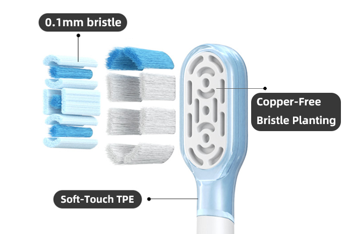 Engineered for Efficacy, Designed for Comfort: Our Brush Head Advantage